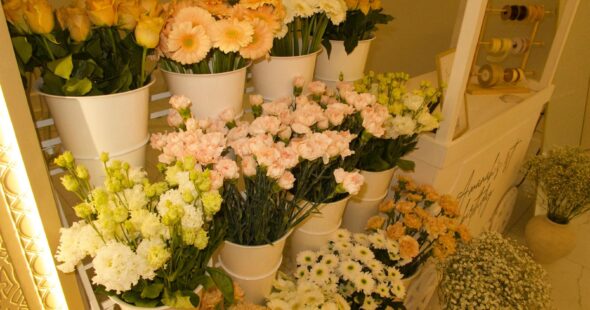 WhatsApp Image 2026-01-21 at 7.17.10 PM (4)