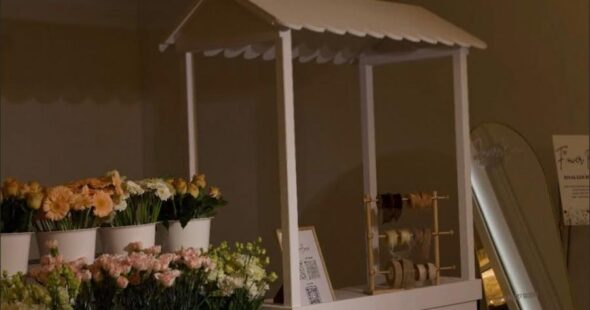 WhatsApp Image 2026-01-21 at 7.17.10 PM (7)