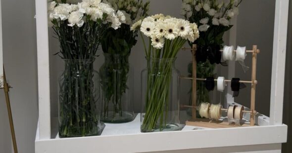 WhatsApp Image 2026-01-21 at 7.17.11 PM (2)