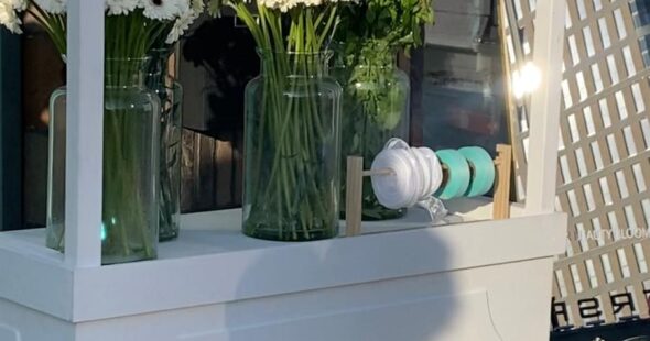 WhatsApp Image 2026-01-21 at 7.17.11 PM (5)